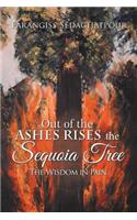 Out of the Ashes Rises the Sequoia Tree: The Wisdom in Pain: The Wisdom in Pain