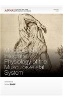Molecular and Integrative Physiology of the Musculoskeletal System, Volume 1211