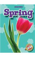 Spring