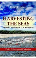 Harvesting the Seas: Excess Capacity in U.S. Fisheries