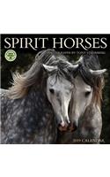 Spirit Horses 2019 Wall Calendar