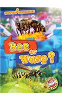 Bee or Wasp: (Spotting Differences)