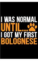 I Was Normal Until I Got My First Bolognese