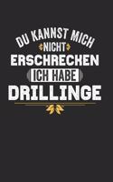 Du Kannst Mich Nicht Erschrecken Ich Habe Drillinge: Notebook I Notizbuch I Blanko I Blank I Leere Seiten 120 Seiten Din A5 I Schulheft I Skizzenbuch I Tagebuch I Ideenbuch I Mama Papa I 3 Drei Kinder