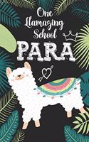One llamazing School Para