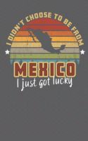 I Didn't Choose to Be From Mexico I Just Got Lucky: Show your pride for Mexico with this Wonderful Gift Blank Paged Journal Notebook