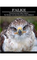 Falke: Faszinierende Falke Fakten für Kinder mit atemberaubenden Bildern!