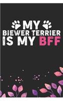 My Biewer Terrier Is My BFF