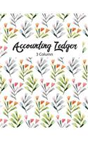 Accounting Ledger 3 Column