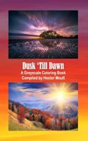 Dusk 'Till Dawn: A Greyscale Coloring Book