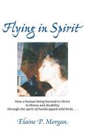 Flying in Spirit