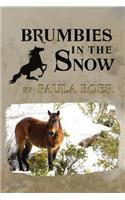 Brumbies in the Snow