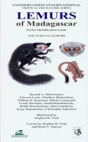 Lemurs of Madagascar: Nocturnal Lemurs