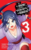 Is It Wrong to Try to Pick Up Girls in a Dungeon? II, Vol. 3 (Manga)