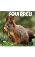 Squirrels Calendar 2018: 16 Month Calendar