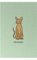 Abyssinian