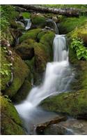 Nature Notebook: 150 Lined Pages, Softcover, 6 X 9