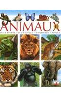 Encyclopedie Animaux T2 Fauves