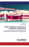 Role of Marine bacteria in antibiotic production