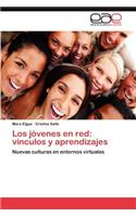 Los jóvenes en red: vínculos y aprendizajes(Spanish)