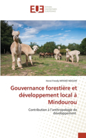 Gouvernance forestière et développement local à Mindourou