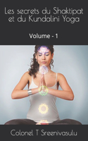 Les secrets du Shaktipat et du Kundalini Yoga