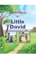 Adventures of Little David