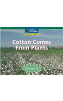 Cotton Comes from Plants