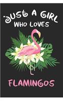 Just a Girl Who Loves Flamingos