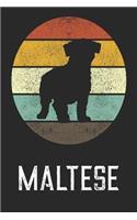 Maltese Dog
