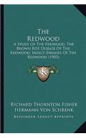 Redwood