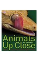 Animals Up Close