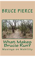What Makes Brucie Run?