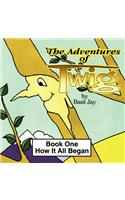 The Adventures of Twig