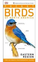 American Museum of Natural History: Pocket Birds of North America, Eastern Region