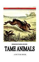 Tame Animals