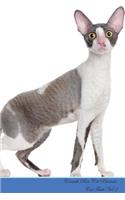 Cornish Rex Cat Presents: Cat Facts Workbook. Cornish Rex Cat Presents Cat Facts Workbook with Self Therapy, Journalling, Productivity Tracker with Self Therapy, Journalling,