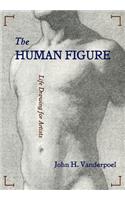 Human Figure