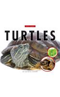 Turtles