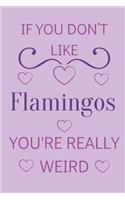 If You Don't Like Flamingos You're Really Weird