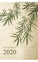 Agenda
