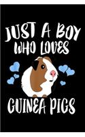 Just A Boy Who Loves Guinea Pigs