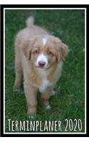 Terminplaner 2020: Jahresplaner von September 2019 bis Dezember 2020 mit Hund - Planer mit 174 Seiten in weiß im Format A5 mit glänzendem Soft Cover.