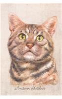 American Shorthair Cat Portrait Notebook: Blank Dot Grid Journal for Cat Lovers, Cat Mom, Cat Dad and Pet Owners - 6x9 - 5MM Dot Grid Pages