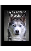 Hi, My Name Is Stopthat Sometimes They Call Me Getbackhere
