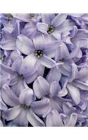Hyacinth Notebook Large Size 8.5 x 11 Ruled 150 Pages Softcover