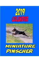 2019 Calendar Miniature Pinscher