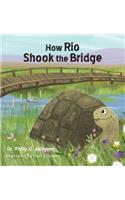 How Rio Shook the Bridge