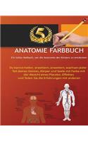 Anatomie Farbbuch: Unterleib, Anatomisch, Anatomie, Blase, Knochen, Gehirn, Brust, Sch?del, Verdauungs, Ohr, Auge, Augapfel, Gleichgewicht, Befruchtung, Kopf, Herz, Me