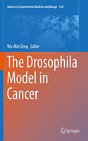 The Drosophila Model in Cancer